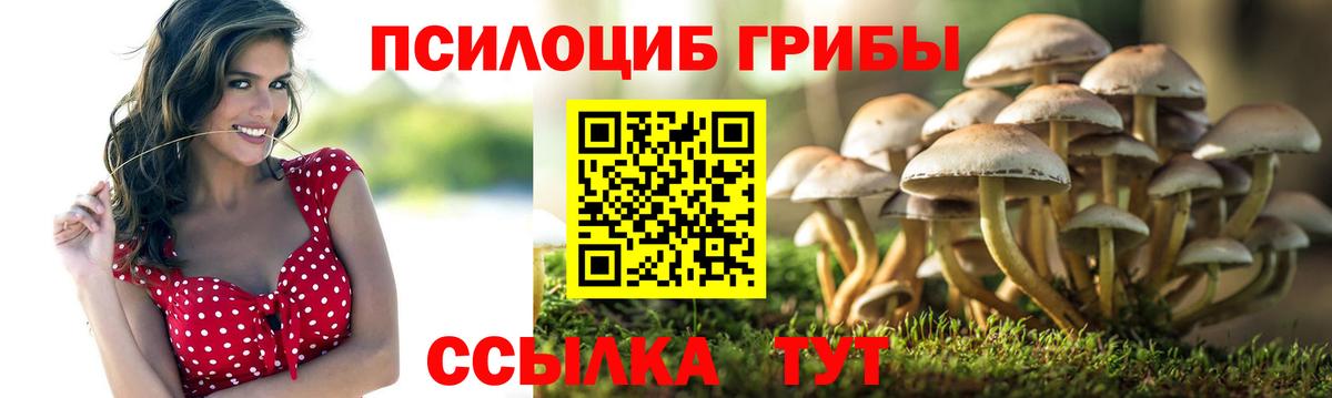 Псилоцибиновые грибы прущие грибы Тихорецк